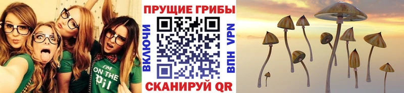 Псилоцибиновые грибы Psilocybine cubensis  даркнет наркотические препараты  Ардон 